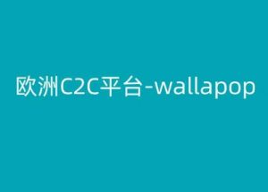欧洲C2C平台-wallapop-kim跨境电商教程-铭创资源库