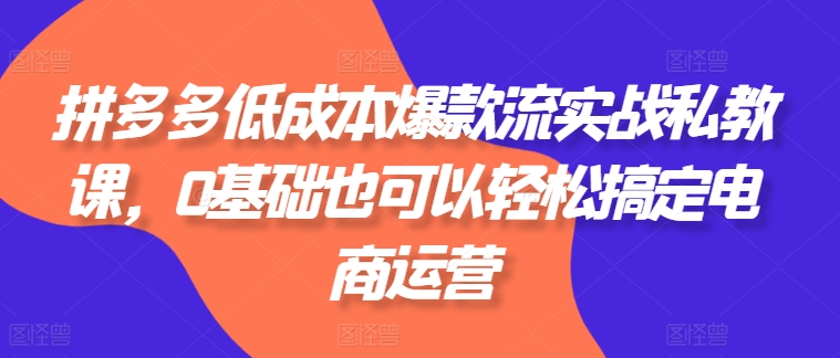 拼多多低成本爆款流实战私教课，0基础也可以轻松搞定电商运营-铭创资源库