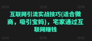 互联网引流实战技巧(适合微商,吸引宝妈),宅家通过互联网赚钱-铭创资源库