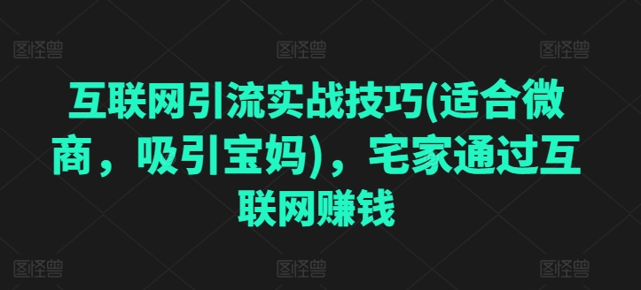 互联网引流实战技巧(适合微商，吸引宝妈)，宅家通过互联网赚钱-铭创资源库