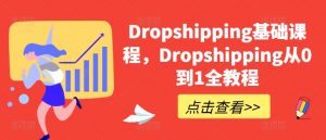 Dropshipping基础课程,Dropshipping从0到1全教程-铭创资源库