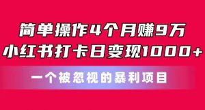 简单操作4个月赚9w,小红书打卡日变现1k,一个被忽视的暴力项目【揭秘】-铭创资源库