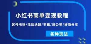 小红书商单变现教程:起号涨粉/爆款选题/剪辑/蒲公英/好物分享/各种玩法-铭创资源库