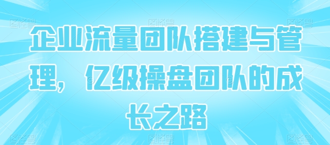企业流量团队搭建与管理，亿级操盘团队的成长之路-铭创资源库