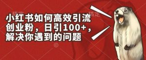 小红书如何高效引流创业粉,日引100+,解决你遇到的问题【揭秘】-铭创资源库