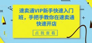 速卖通VIP新手快速入门班,手把手教你在速卖通快速开店-铭创资源库