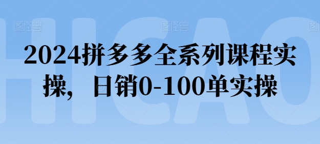 2024拼多多全系列课程实操，日销0-100单实操【必看】-铭创资源库