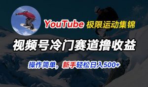 视频号冷门赛道撸收益,YouTube搬运极限运动集锦,暴力起号,操作简单流量高,轻松日入5张【揭秘】-铭创资源库