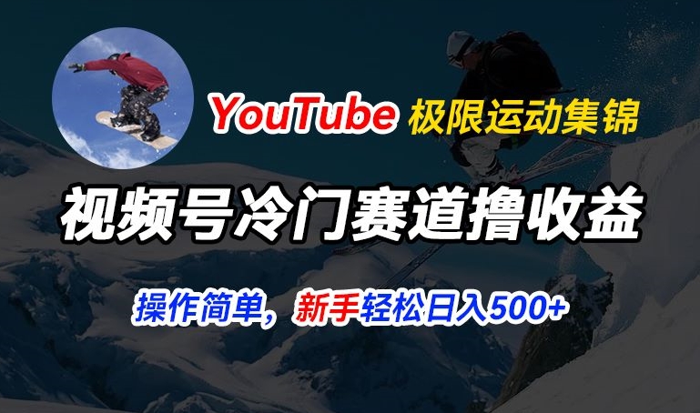 视频号冷门赛道撸收益，YouTube搬运极限运动集锦，暴力起号，操作简单流量高，轻松日入5张【揭秘】-铭创资源库