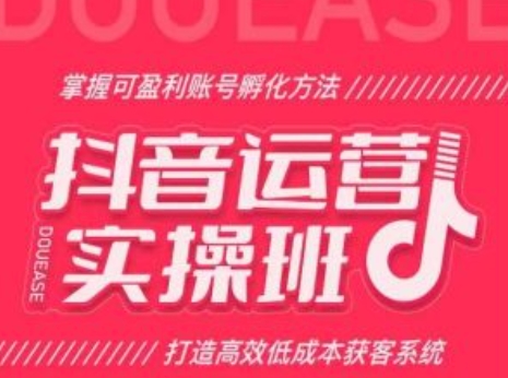 抖音运营实操班，掌握可盈利账号孵化方法，打造高效低成本获客系统-铭创资源库