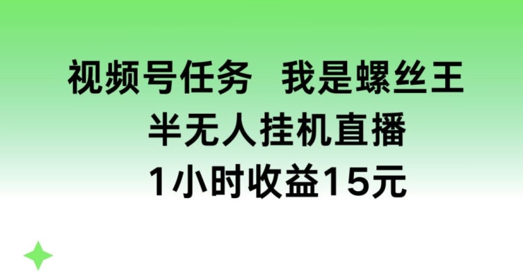 视频号任务，我是螺丝王， 半无人挂机1小时收益15元【揭秘】-铭创资源库