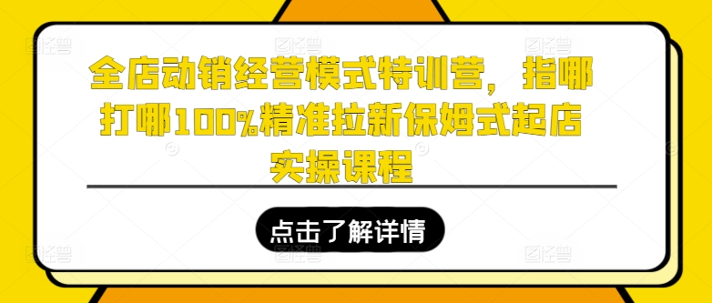 全店动销经营模式特训营，指哪打哪100%精准拉新保姆式起店实操课程-铭创资源库