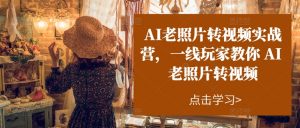 AI老照片转视频实战营,一线玩家教你AI老照片转视频-铭创资源库