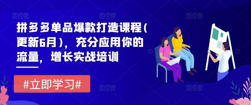 拼多多单品爆款打造课程(更新6月)，充分应用你的流量，增长实战培训-铭创资源库