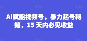 AI赋能视频号,暴力起号秘籍,15 天内必见收益【揭秘】-铭创资源库