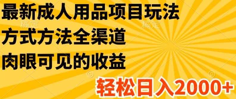 最新成人用品项目玩法，方式方法全渠道，轻松日入2K+【揭秘】-铭创资源库