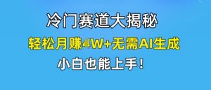 冷门赛道大揭秘,轻松月赚1W+无需AI生成,小白也能上手【揭秘】-铭创资源库