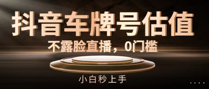 抖音车牌号估值，不露脸直播，0门槛，小白秒上手【揭秘】-铭创资源库