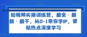 短视频实操训练营,最全·最新·最干,从0-1带你学IP,紧贴热点深度学习-铭创资源库