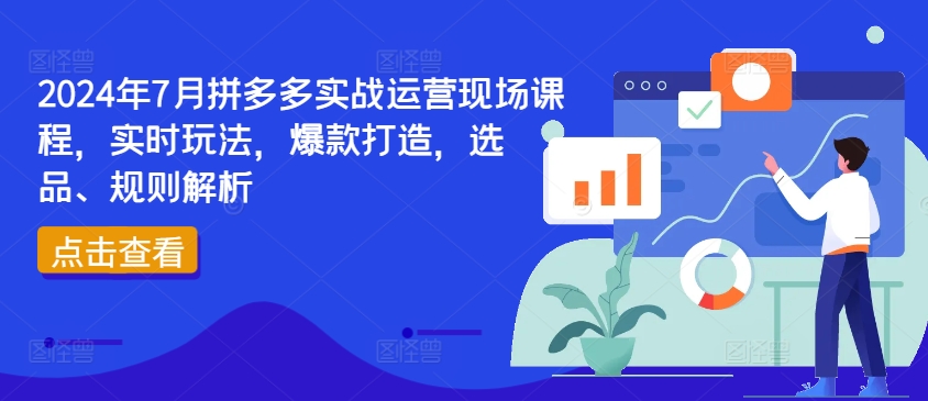 2024年7月拼多多实战运营现场课程，实时玩法，爆款打造，选品、规则解析-铭创资源库