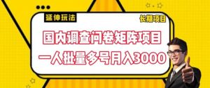 国内调查问卷矩阵项目,一人批量多号月入3000【揭秘】-铭创资源库