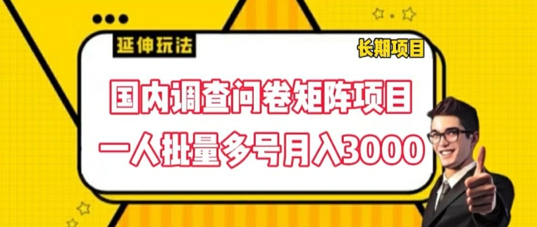 国内调查问卷矩阵项目，一人批量多号月入3000【揭秘】-铭创资源库