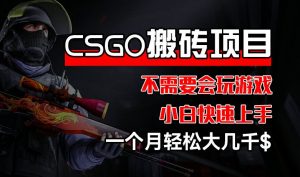 CSGO 装备搬砖项目,操作简单,不需要会玩游戏,小白也能快速上手,一个月轻松大几千【揭秘】-铭创资源库