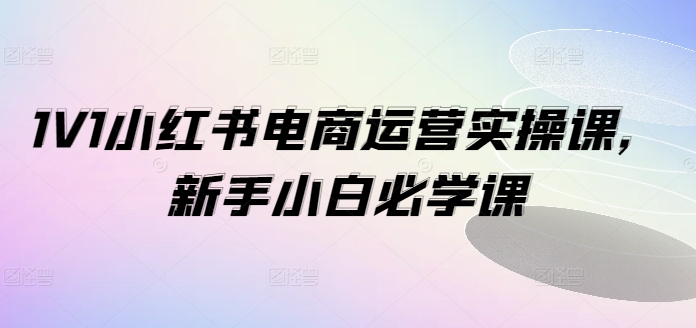 1V1小红书电商运营实操课，新手小白必学课-铭创资源库