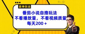 番茄小说自撸玩法,不看播放量,不看视频质量,每天200+【揭秘】-铭创资源库