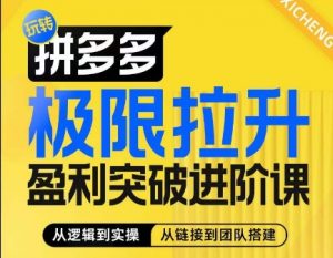 拼多多极限拉升盈利突破进阶课,从算法到玩法,从玩法到团队搭建,体系化系统性帮助商家实现利润提升-铭创资源库
