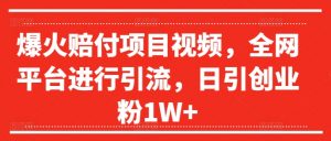 爆火赔付项目视频,全网平台进行引流,日引创业粉1W+【揭秘】-铭创资源库