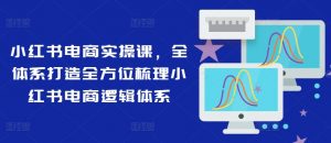 小红书电商实操课,全体系打造全方位梳理小红书电商逻辑体系-铭创资源库