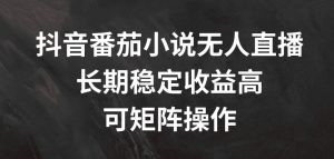 抖音番茄小说无人直播,长期稳定收益高,可矩阵操作【揭秘】-铭创资源库