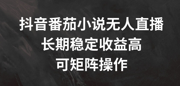抖音番茄小说无人直播，长期稳定收益高，可矩阵操作【揭秘】-铭创资源库