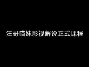 汪哥影视解说正式课程:剪映/PR教学/视解说剪辑5大黄金法则/全流程剪辑7把利器等等-铭创资源库