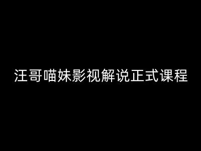汪哥影视解说正式课程：剪映/PR教学/视解说剪辑5大黄金法则/全流程剪辑7把利器等等-铭创资源库
