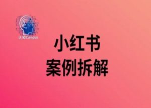 小红书案例拆解,深度解读小红书40万粉-铭创资源库