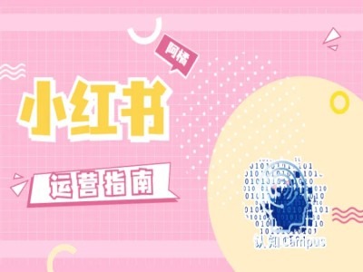 小红书运营指南，没有套路，全是经验-铭创资源库
