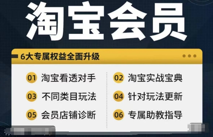 淘宝会员【淘宝所有课程，全面分析对手】，初级到高手全系实战宝典-铭创资源库