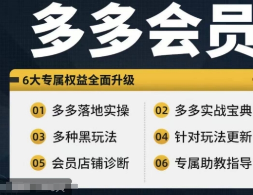 拼多多会员，拼多多实战宝典+实战落地实操，从新手到高阶内容全面覆盖-铭创资源库