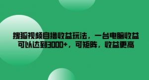 搜狐视频自撸收益玩法,一台电脑收益可以达到3k+,可矩阵,收益更高【揭秘】-铭创资源库