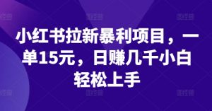 小红书拉新暴利项目,一单15元,日赚几千小白轻松上手【揭秘】-铭创资源库