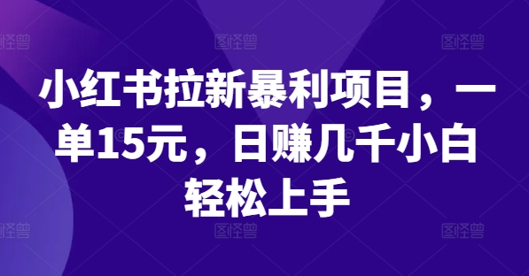 小红书拉新暴利项目，一单15元，日赚几千小白轻松上手【揭秘】-铭创资源库