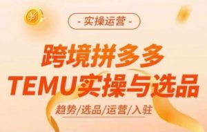 跨境拼多多TEMU实操与选品,多多temu跨境选品运营实操-铭创资源库