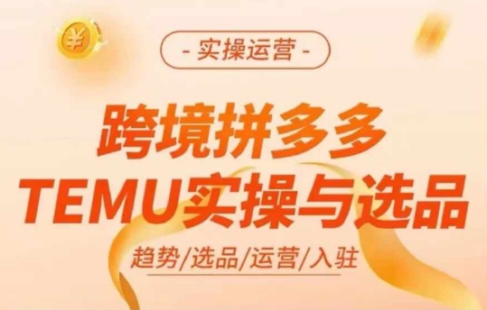跨境拼多多TEMU实操与选品，多多temu跨境选品运营实操-铭创资源库