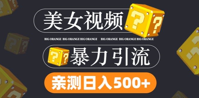 搬运tk美女视频全网分发，日引s粉300+，轻松变现，不限流量不封号【揭秘】-铭创资源库