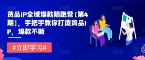货品IP全域爆款陪跑营【第4期】,手把手教你打造货品IP,爆款不断-铭创资源库