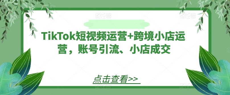 TikTok短视频运营+跨境小店运营，账号引流、小店成交-铭创资源库