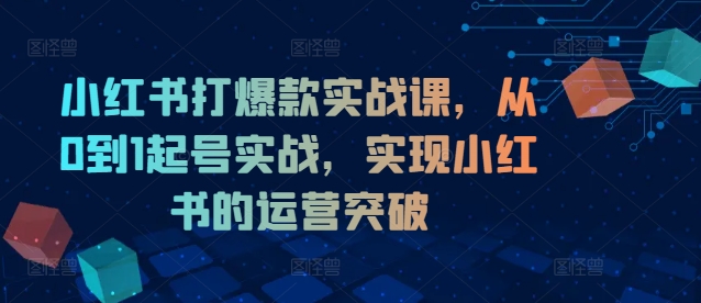 小红书打爆款实战课，从0到1起号实战，实现小红书的运营突破-铭创资源库