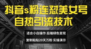 抖音s粉连怼美女号自热引流技术复制粘贴,20天万粉账号,无需实名制,矩阵操作【揭秘】-铭创资源库